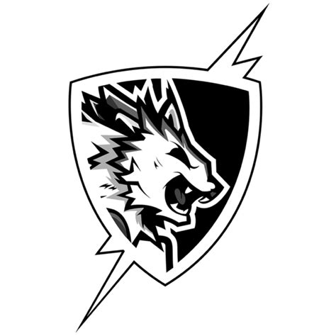 Paladins Pro Circuit/2020 Season/North America.